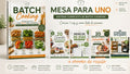 BATCH COOKING +4 LIBROS DE REGALO